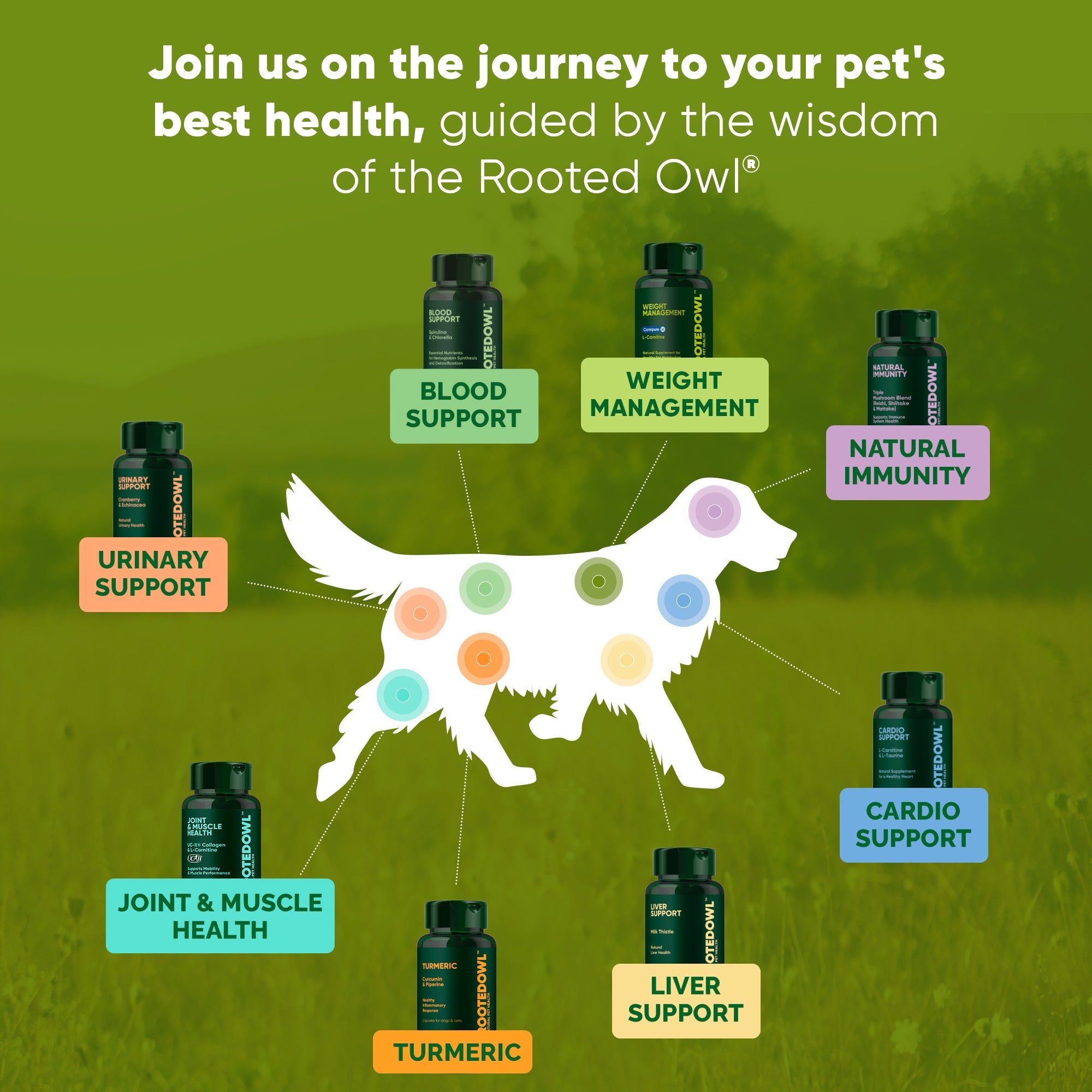 Joint & Muscle Health (Cats & Small Dogs)